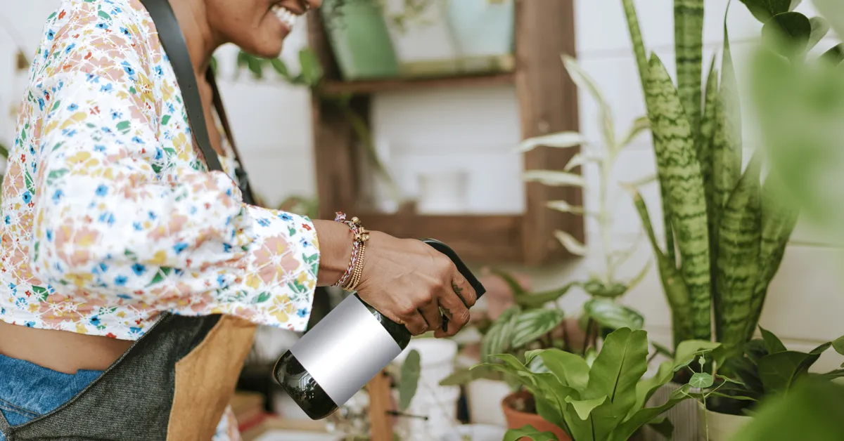 Descubra as 7 melhores plantas para cozinha: fáceis de cuidar, lindas na decoração e ainda úteis no dia a dia. Do manjericão à jiboia, tem opção para todo espaço. - Blog Receitas e Dicas